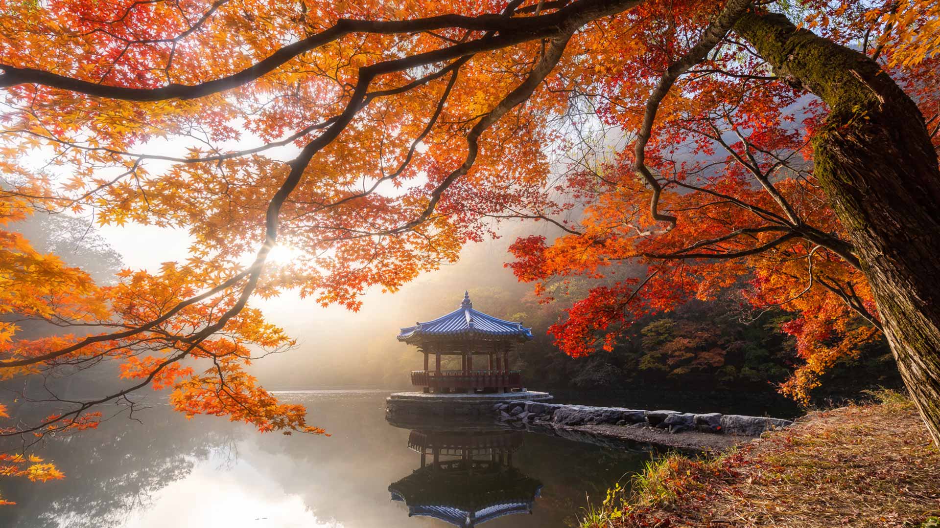 内藏山国立公园的秋景