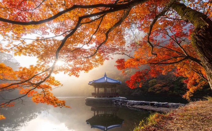 2026年10月22日 必应每日壁纸 – 内藏山国立公园的秋景